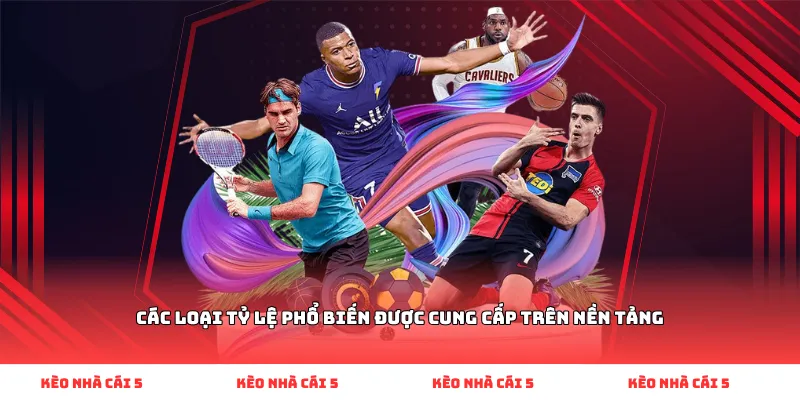 Các loại tỷ lệ phổ biến được cung cấp trên nền tảng