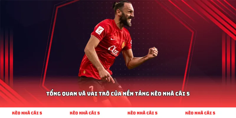 Tổng quan và vai trò của nền tảng kèo nhà cái 5