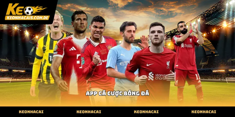 Theo dõi dữ liệu thực tế trên app cá cược bóng đá