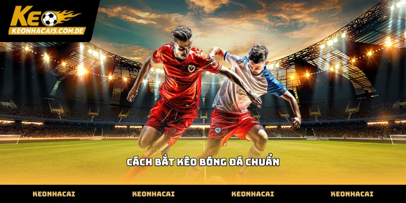 cách bắt kèo bóng đá chuẩn qua việc soi thông tin đội bóng