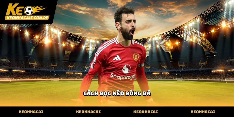 Nắm vững cách đọc kèo bóng đá tại sân chơi uy tín
