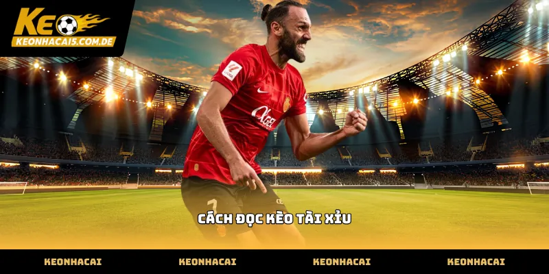 Thực hiện cách đọc kèo tài xỉu bóng đá chính xác