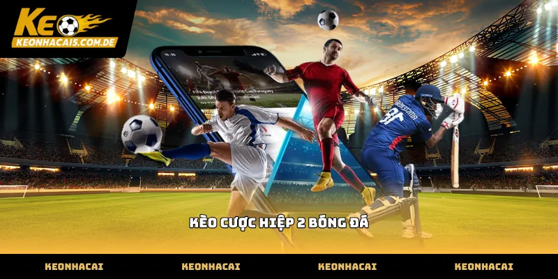 Cách đọc biến động tỷ lệ kèo cược hiệp 2 bóng đá