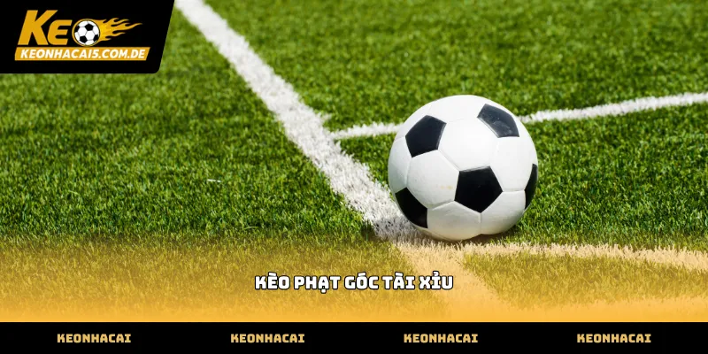 Cách vận hành kèo phạt góc tài xỉu dựa trên dữ liệu tấn công biên