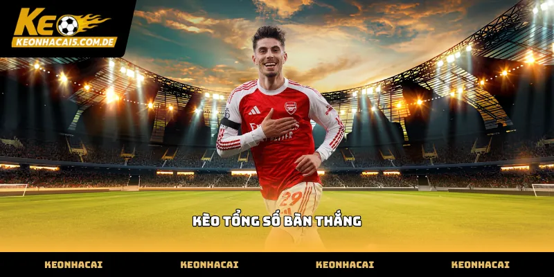 Cách đọc kèo tổng số bàn thắng trên bảng tỷ lệ
