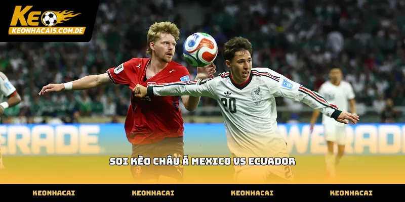 soi kèo châu á mexico vs ecuador dựa trên dữ liệu chuẩn
