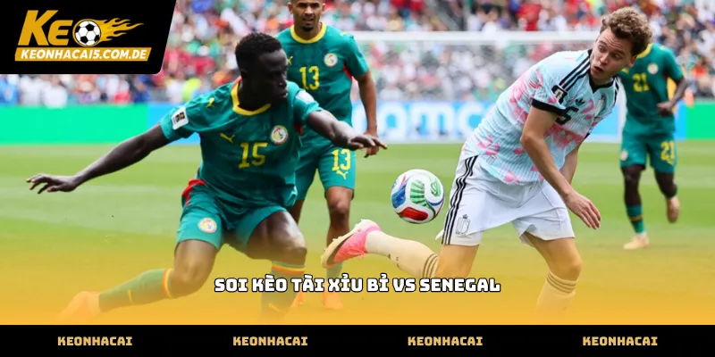 soi kèo tài xỉu bỉ vs senegal qua thông số hàng công